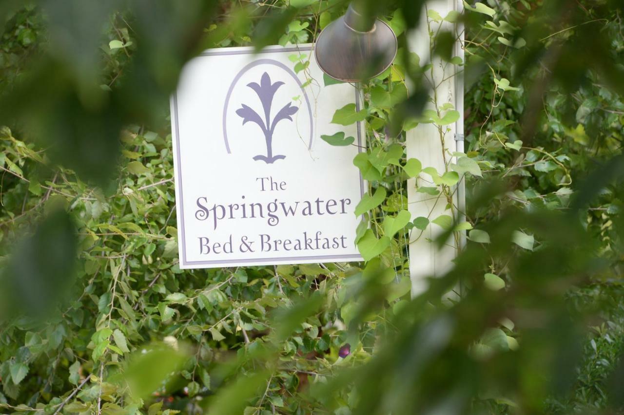 The Springwater Bed And Breakfast Саратога Спрингс Екстериор снимка